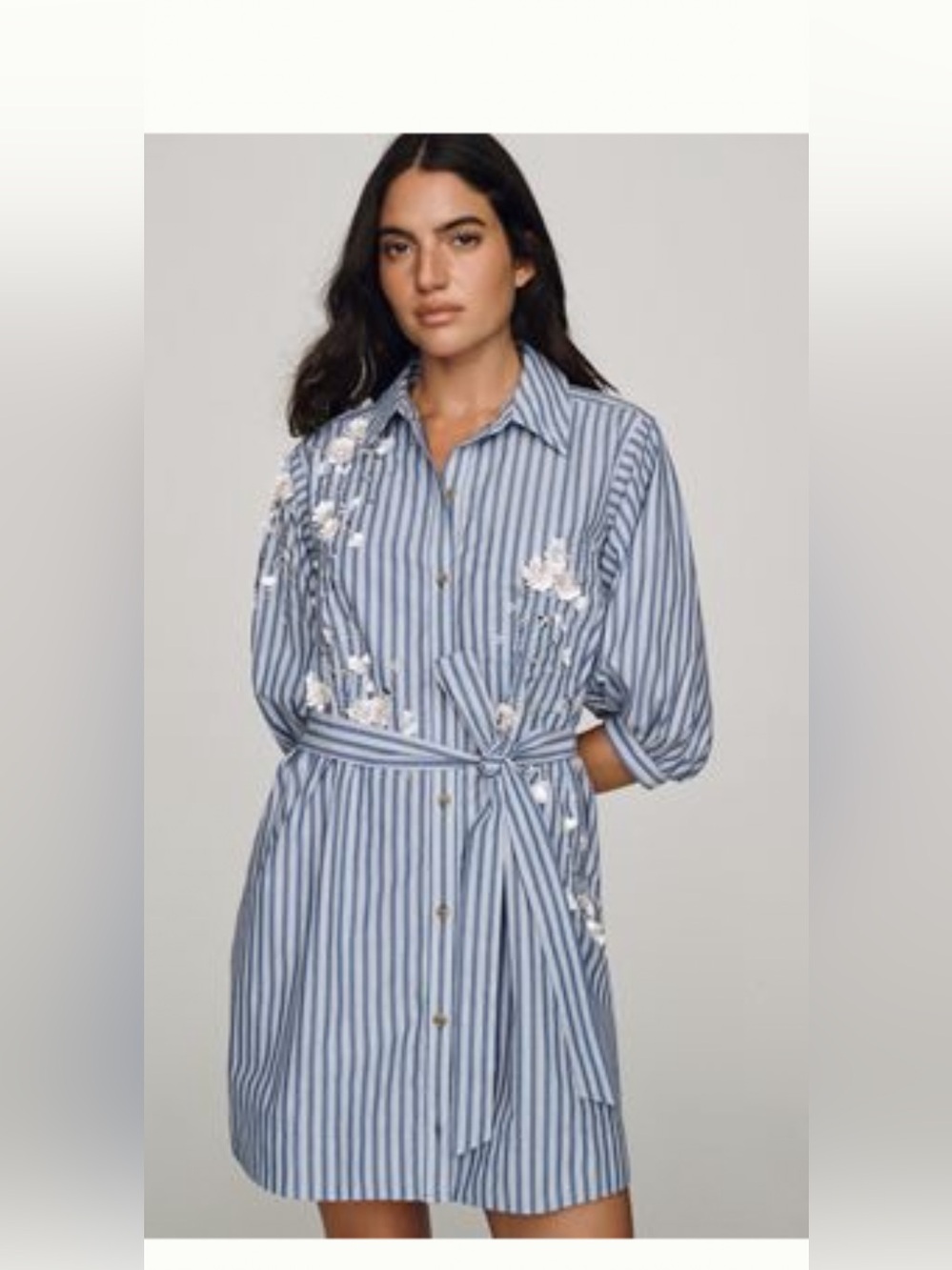 NWT Maeve Mona Blue White Striped Embroidered mini Shirt Dress MP Anthropologie